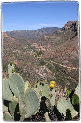 Desert Road